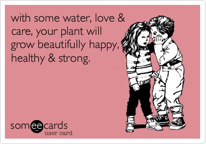 with some water, love &
care, your plant will
grow beautifully happy,
healthy & strong.