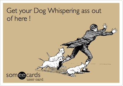 Get your Dog Whispering ass out  of here !