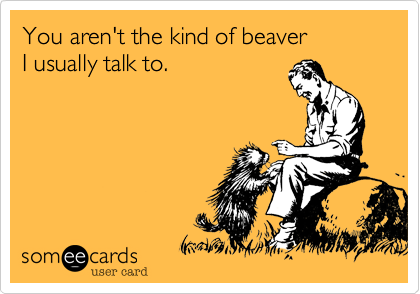 You aren't the kind of beaverI usually talk to.