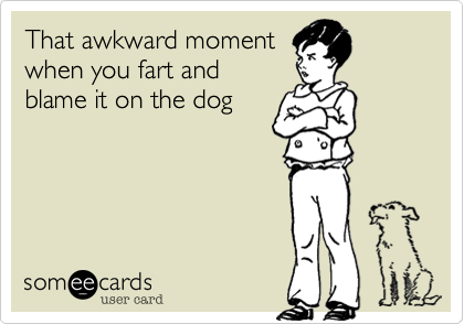 That awkward moment
when you fart and
blame it on the dog
