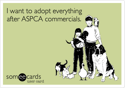 I want to adopt everything
after ASPCA commercials.