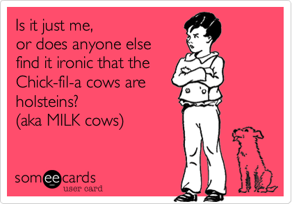 Is it just me,  or does anyone else find it ironic that theChick-fil-a cows areholsteins? (aka MILK cows)