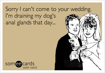 Sorry I can't come to your wedding.  I'm draining my dog's
anal glands that day...