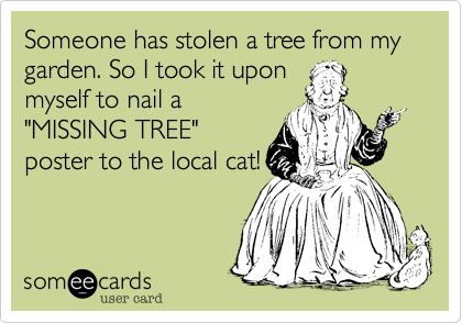 Someone has stolen a tree from my garden. So I took it upon
myself to nail a
"MISSING TREE"
poster to the local cat!