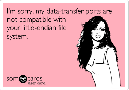 I'm sorry, my data-transfer ports are not compatible withyour little-endian filesystem.