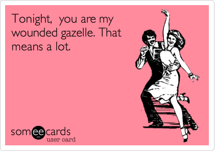 Tonight,  you are mywounded gazelle. Thatmeans a lot.
