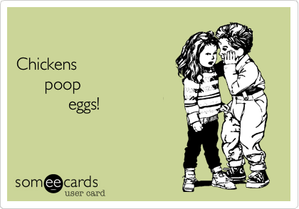Chickens      poop           eggs!