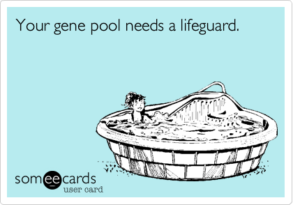 Your gene pool needs a lifeguard.