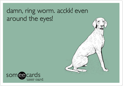 damn, ring worm. acckk! even around the eyes!