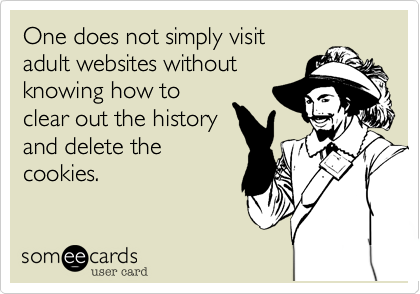 One does not simply visit
adult websites without
knowing how to
clear out the history
and delete the
cookies.