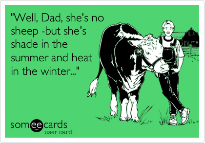 "Well, Dad, she's nosheep -but she'sshade in thesummer and heatin the winter..."