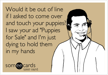 Would it be out of line 
if I asked to come over
and touch your puppies?
I saw your ad "Puppies
for Sale" and I'm just
dying to hold them 
in my hands