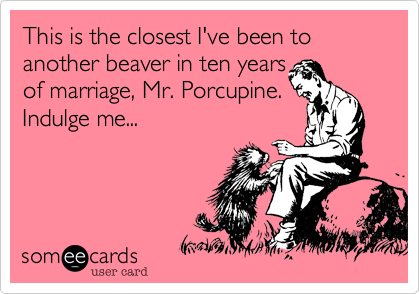 This is the closest I've been to another beaver in ten years
of marriage, Mr. Porcupine.
Indulge me...