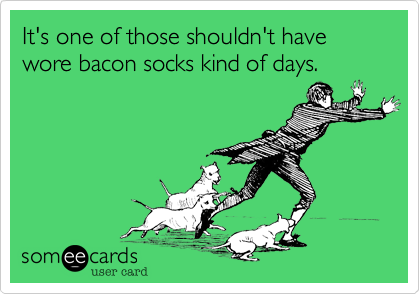 It's one of those shouldn't have wore bacon socks kind of days.