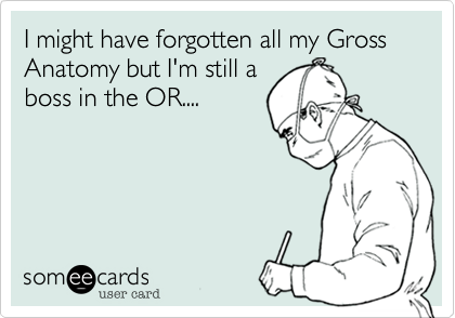 I might have forgotten all my Gross Anatomy but I'm still aboss in the OR....