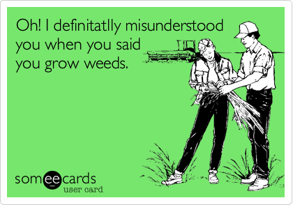 Oh! I definitatlly misunderstoodyou when you saidyou grow weeds.
