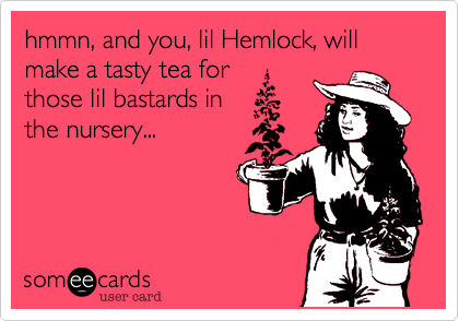 hmmn, and you, lil Hemlock, will make a tasty tea for
those lil bastards in
the nursery...