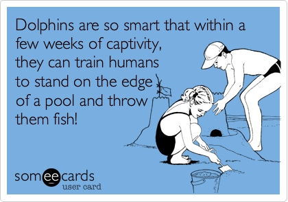 Dolphins are so smart that within a few weeks of captivity, 
they can train humans 
to stand on the edge 
of a pool and throw
them fish!