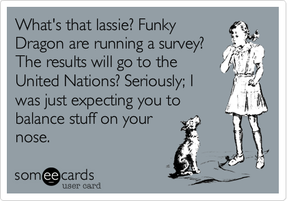 What's that lassie? Funky
Dragon are running a survey?
The results will go to the
United Nations? Seriously; I
was just expecting you to
balance stuff on your
nose. 