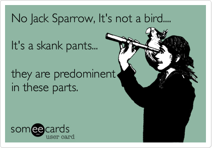 No Jack Sparrow, It's not a bird....

It's a skank pants...

they are predominent
in these parts.