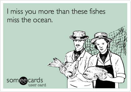 I miss you more than these fishes miss the ocean. 