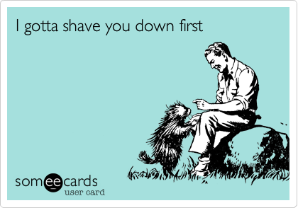 I gotta shave you down first