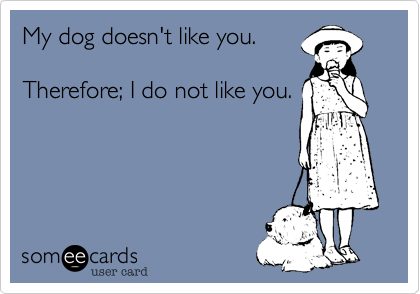 My dog doesn't like you.Therefore; I do not like you.