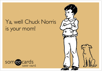 Ya, well Chuck Norris is your mom!