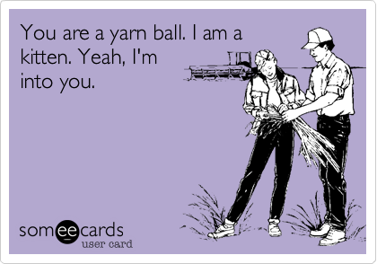 You are a yarn ball. I am a
kitten. Yeah, I'm
into you.