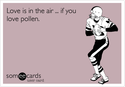 Love is in the air ... if youlove pollen.