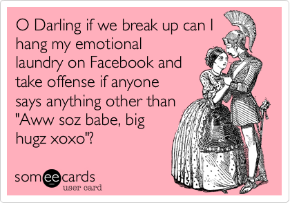 O Darling if we break up can I 
hang my emotional
laundry on Facebook and
take offense if anyone
says anything other than 
"Aww soz babe, big
hugz xoxo"? 