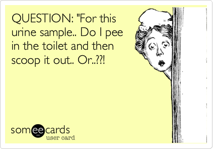 QUESTION: "For thisurine sample.. Do I peein the toilet and thenscoop it out.. Or..??!