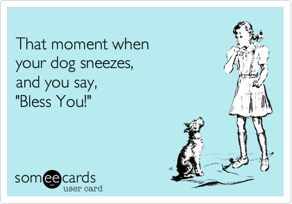 That moment when your dog sneezes,and you say,"Bless You!"