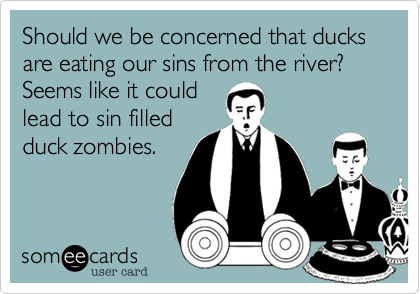 Should we be concerned that ducks are eating our sins from the river? Seems like it could
lead to sin filled
duck zombies.