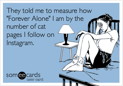 They told me to measure how
"Forever Alone" I am by the
number of cat
pages I follow on
Instagram.