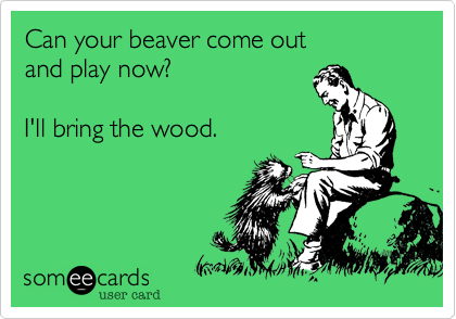 Can your beaver come out and play now?I'll bring the wood.