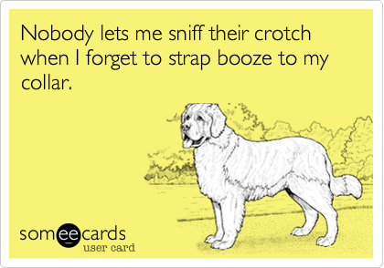 Nobody lets me sniff their crotch when I forget to strap booze to my collar.