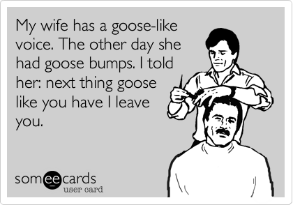 My wife has a goose-like
voice. The other day she
had goose bumps. I told
her: next thing goose
like you have I leave
you. 