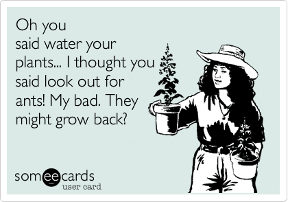 Oh you
said water your
plants... I thought you
said look out for
ants! My bad. They
might grow back?