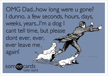 OMG Dad...how long were u gone? I dunno, a few seconds, hours, days, weeks, years...I'm a dog I
cant tell time, but please
dont ever, ever,
ever leave me
again!