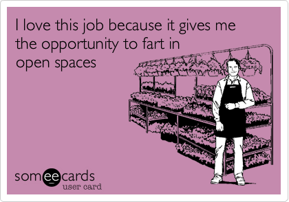I love this job because it gives me the opportunity to fart in
open spaces 