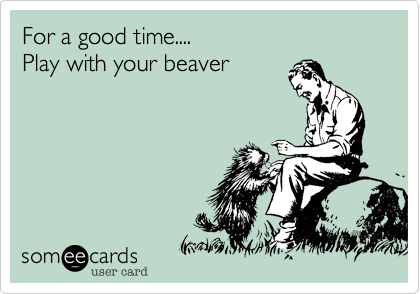 For a good time....Play with your beaver