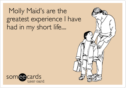  Molly Maid's are thegreatest experience I havehad in my short life....