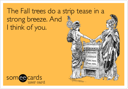 The Fall trees do a strip tease in a
strong breeze. And
I think of you.