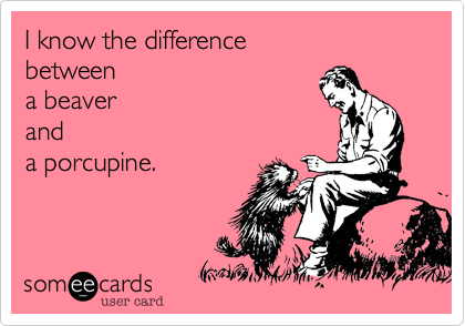 I know the difference 
between
a beaver 
and
a porcupine.