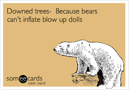 Downed trees-  Because bears can't inflate blow up dolls