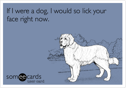 If I were a dog, I would so lick your face right now.
