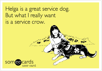 Helga is a great service dog. 
But what I really want 
is a service crow.