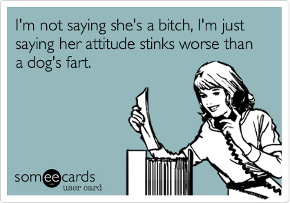 I'm not saying she's a bitch, I'm just saying her attitude stinks worse than a dog's fart. 
