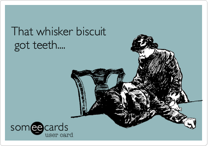 That whisker biscuit got teeth....